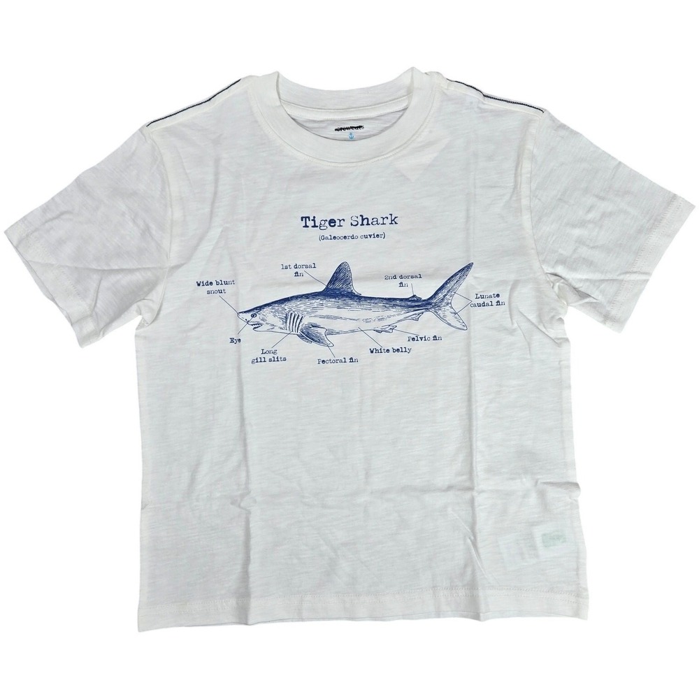 Crewcuts‎ Boys Tiger Shark Graphic Tee White Size M 8-9 BZ809 NEW